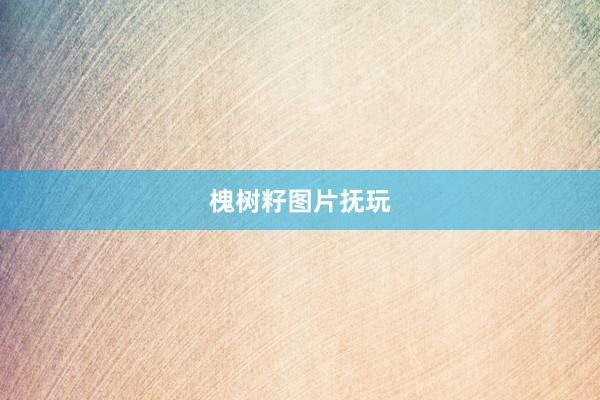 槐树籽图片抚玩