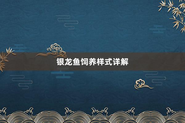 银龙鱼饲养样式详解